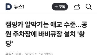 캠핑카 알박기는 애교 수준…공원 주차장에 바비큐장 설치 '황당'