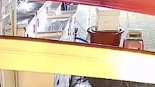 문어 도둑 맞은줄 알고 CCTV 돌려본 사장님