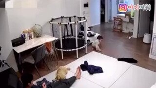 아빠 기강 잡는 아기