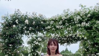 약후 돌려차기