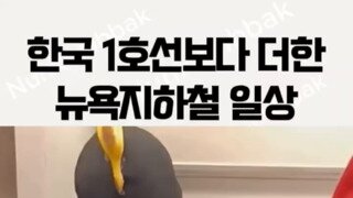 뉴욕 지하철