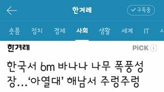 해남 바나나