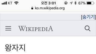 고려의 명장 왕자지