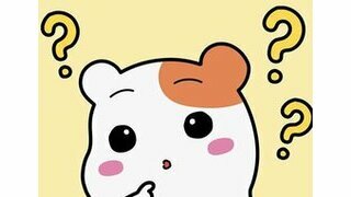 고 김일성 샷시가 뭐예요?