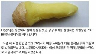 불쌍한 생강