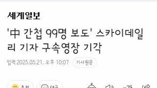 스카이데일리 기자 구속 기각 사유