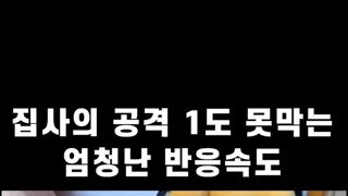 느린 고양이