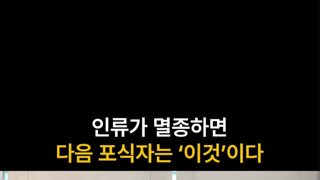 인류가 멸종하면 다음 포식자는 이것이다