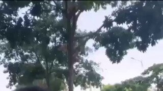 이새끼 이거.....