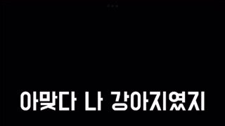 아 맞다 나 강아지였지?