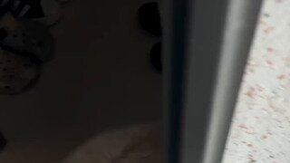 퇴근하고 집에 오면 강아지 헬리콥터.mp4