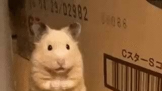 대준석 