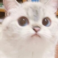 원지컨설팅 이미지