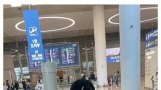 어느 중국인의 페이커를 향한 팬심