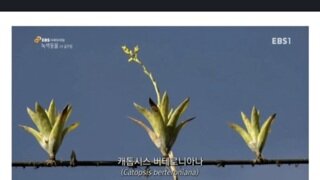 전기줄에서 생활하는 