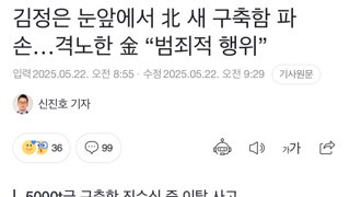 김정은 눈 앞에서 새 구축함 진수식 중 이탈사고..