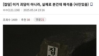 집 없는 달팽이 삽니다