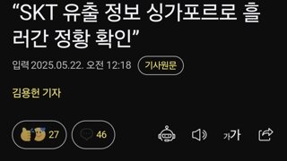 “SKT 유출 정보 싱가포르로 흘러간 정황 확인”