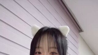 고양이머리띠한 시그니쳐 지원