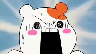 '인간 루왁커피' 만들겠다던 유튜버 결국 ㄷㄷㄷ