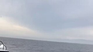 바다깡패