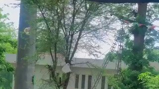 파키스탄의 흔한 일상.mp4...