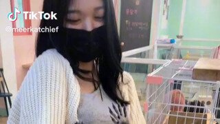 라쿤