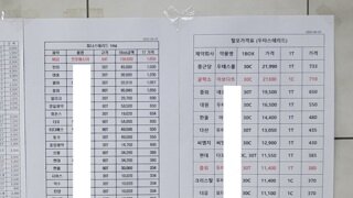 대머리 약 가격경쟁 시작