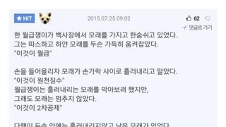 대선후보 4명이 나와서 토론하고있는거 맞음?