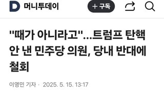 미국 민주당 근황