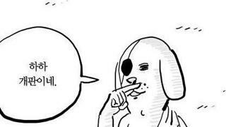 5월23일마다 전대통령 조롱하던것들