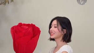 권은비 최예나 김채원 김민주