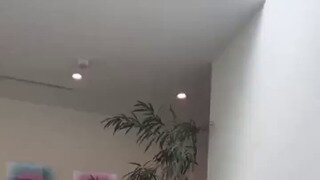 물 마시는 코요테.mp...