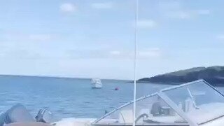 보트 주인 어디갔냐