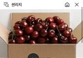 워싱턴 생체리 대사이즈 350g 2팩 (18,900원/무료)