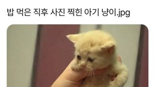 어제 토론 이제야 봤는데 진짜 하…