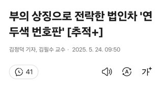 부의 상징으로 전락한 법인차 '연두색 번호판'