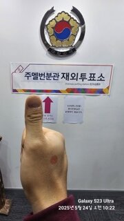 캥거루국 투표완료
