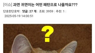 지귀연 해명을 아무도 안믿는 이유
