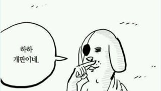길고양이 급식소 의무화 민원…서울시 '과잉입법 문제 될 수도' 난색