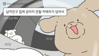 남자친구네 강아지 관찰 카메라 후기