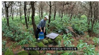 고양이가 사라졌다는 마라도의 모습
