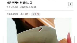 짬처리로 받은 도넛