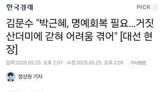 김문수, 박근혜 명예회복 필요