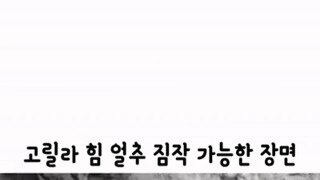 무서운 고릴라