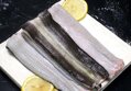 국내산 풍천 자포니카 민물장어 한정수량 손질 후 500 ~ 550g