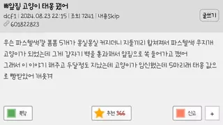 썸네일 이미지