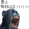 스티커 이미지