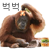 스티커 이미지