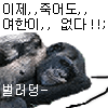 스티커 이미지
